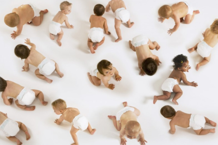 Massor av bebisar i blöjor kryper omkring på ett vitt golv