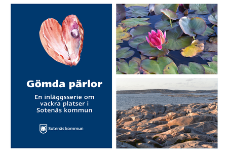 Bildmontage på Sandö och Bua.