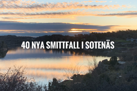 Solnedgång över vatten kantat av träd med texten "40 nya smittfall i Sotenäs".